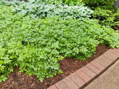 Brick Hardscaping in Manchester, NH